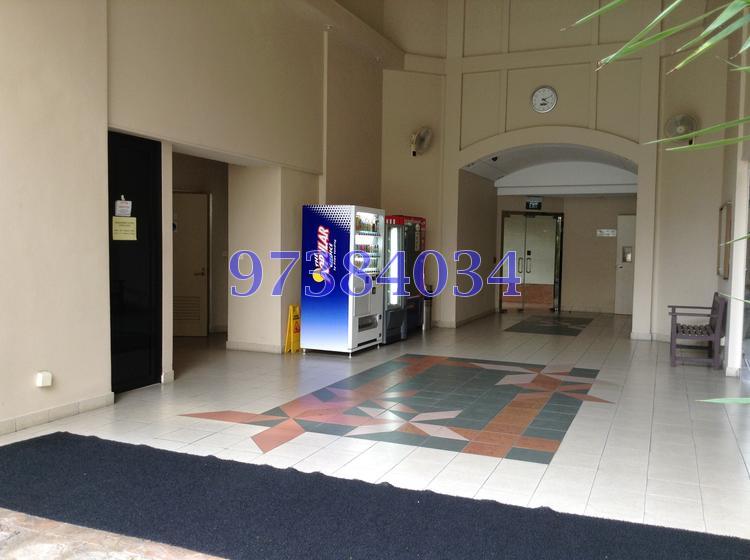 Oleander Towers (D12), Apartment #88735992